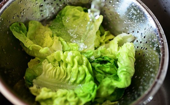 Grüner Salat mit Kürbiskernöl