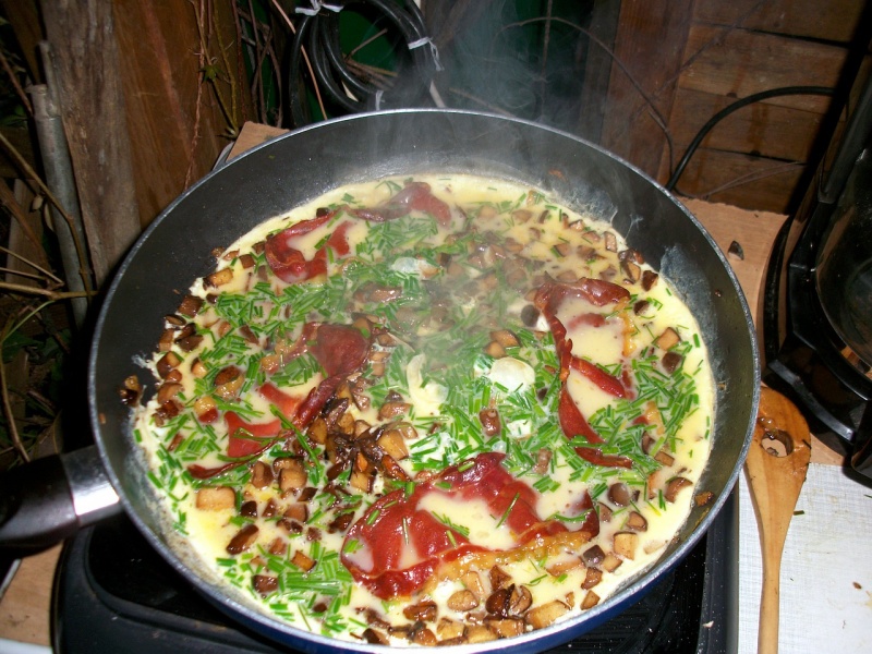 Basler Omelette