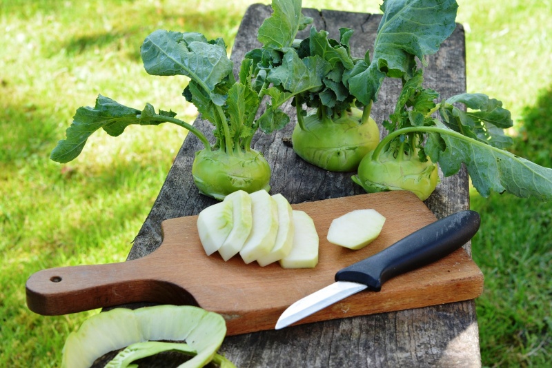 Steirisches Kohlrabi Carpaccio