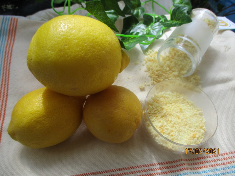Zitronensalz selbstgemacht